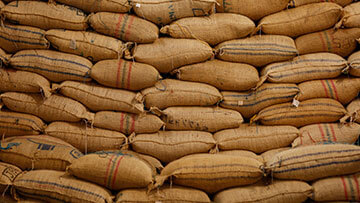 Producción de café colombiano crece 3% en lo corrido del año