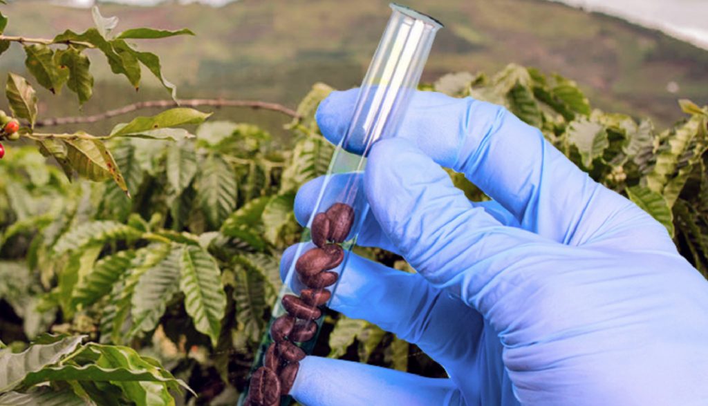 Maestría en Ciencia y Tecnología del Café