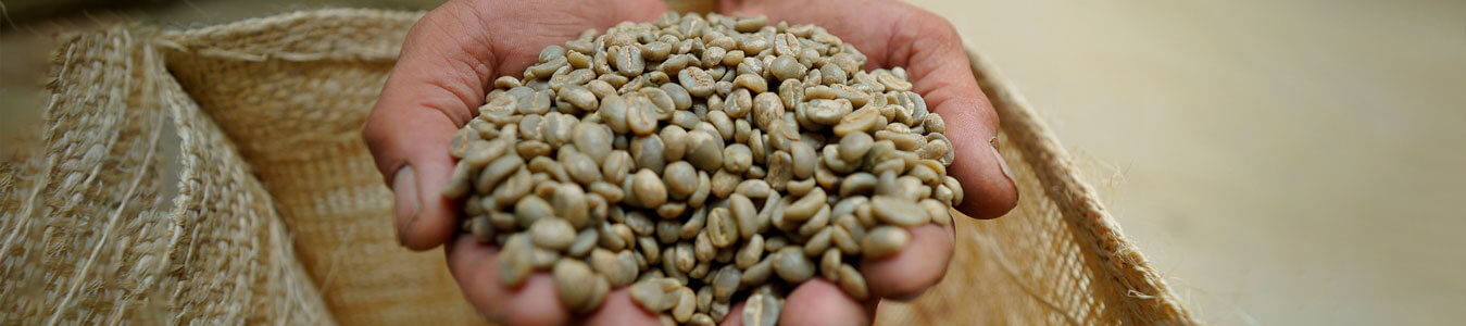 export-of-coffee-in-small-quantities