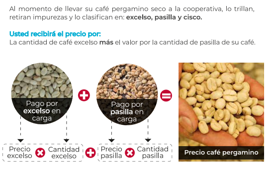 Precio Del Cafe Sube En Tiempos De Coronavirus Federacion