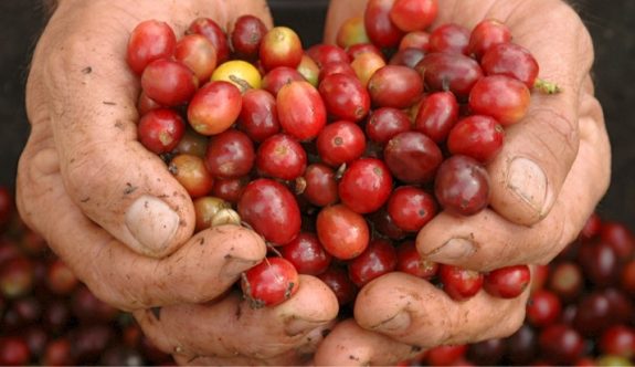 Precio del café sube en tiempos de coronavirus