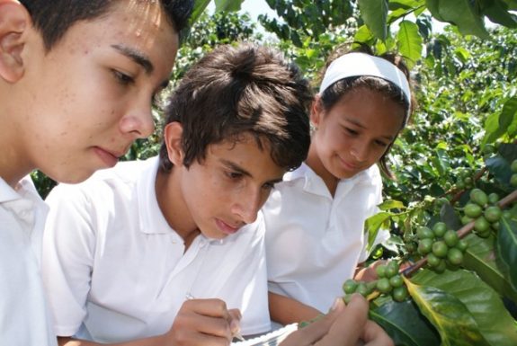 Escuela y Café, proyecto educativo de la FNC, ganadora en los reconocimientos a las buenas prácticas en Desarrollo Sostenible de Pacto Global Colombia