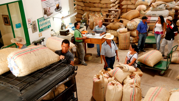 Cooperatives bought coffee worth US$ 1 billion in 2014