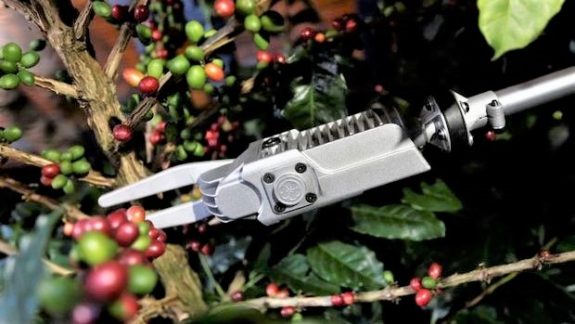 FNC launches innovative, portable coffee harvesting machine
