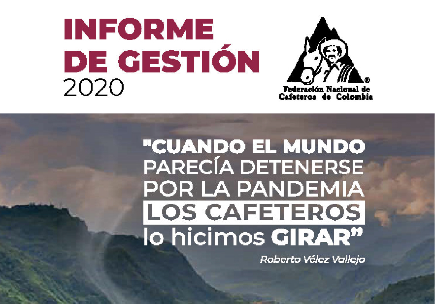 informe-de-gestion-2020