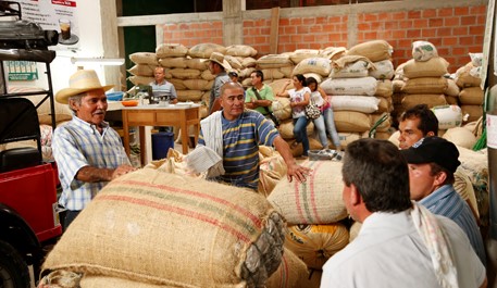 Producción de café de Colombia crece 9% en abril