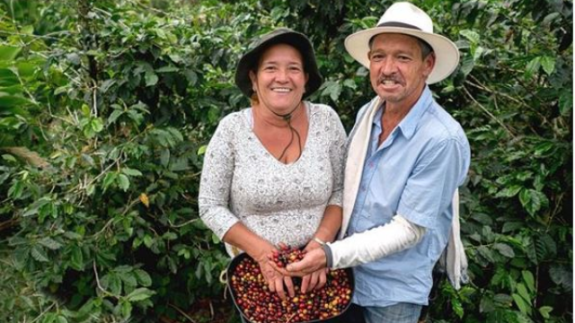 Colombian coffee production grows 4% in August