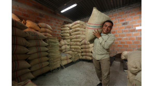Inicia acopio de café para el 8° concurso nacional de calidad Colombia, Tierra de Diversidad