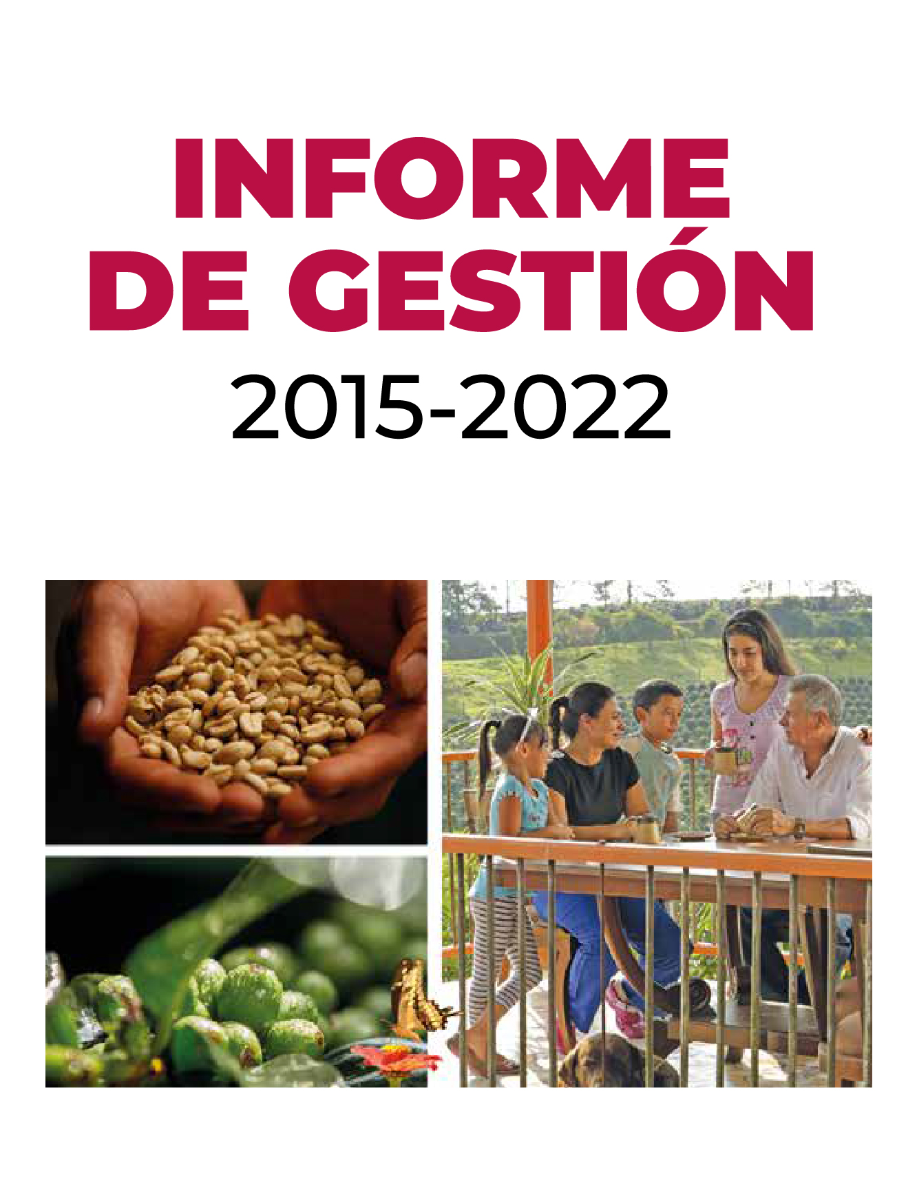 Informe de Gestión 2015 - 2022