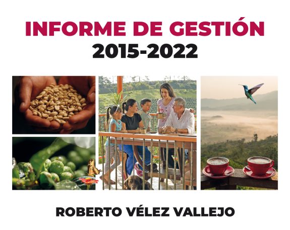 Informe de Gestión 2015 – 2022