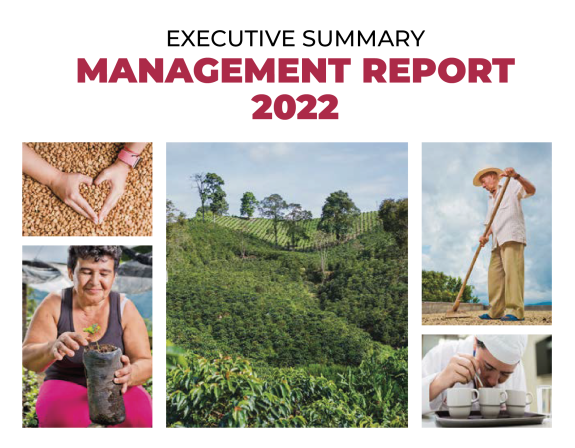 Executive Summary Management Report 2022