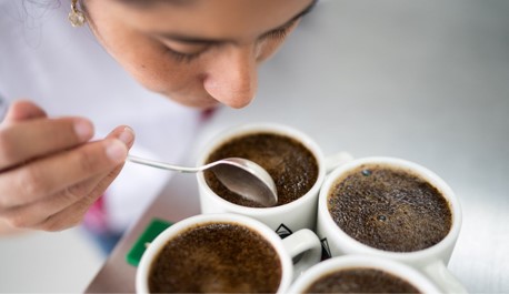 750 lotes de café se inscriben en 8º concurso Colombia, Tierra de Diversidad