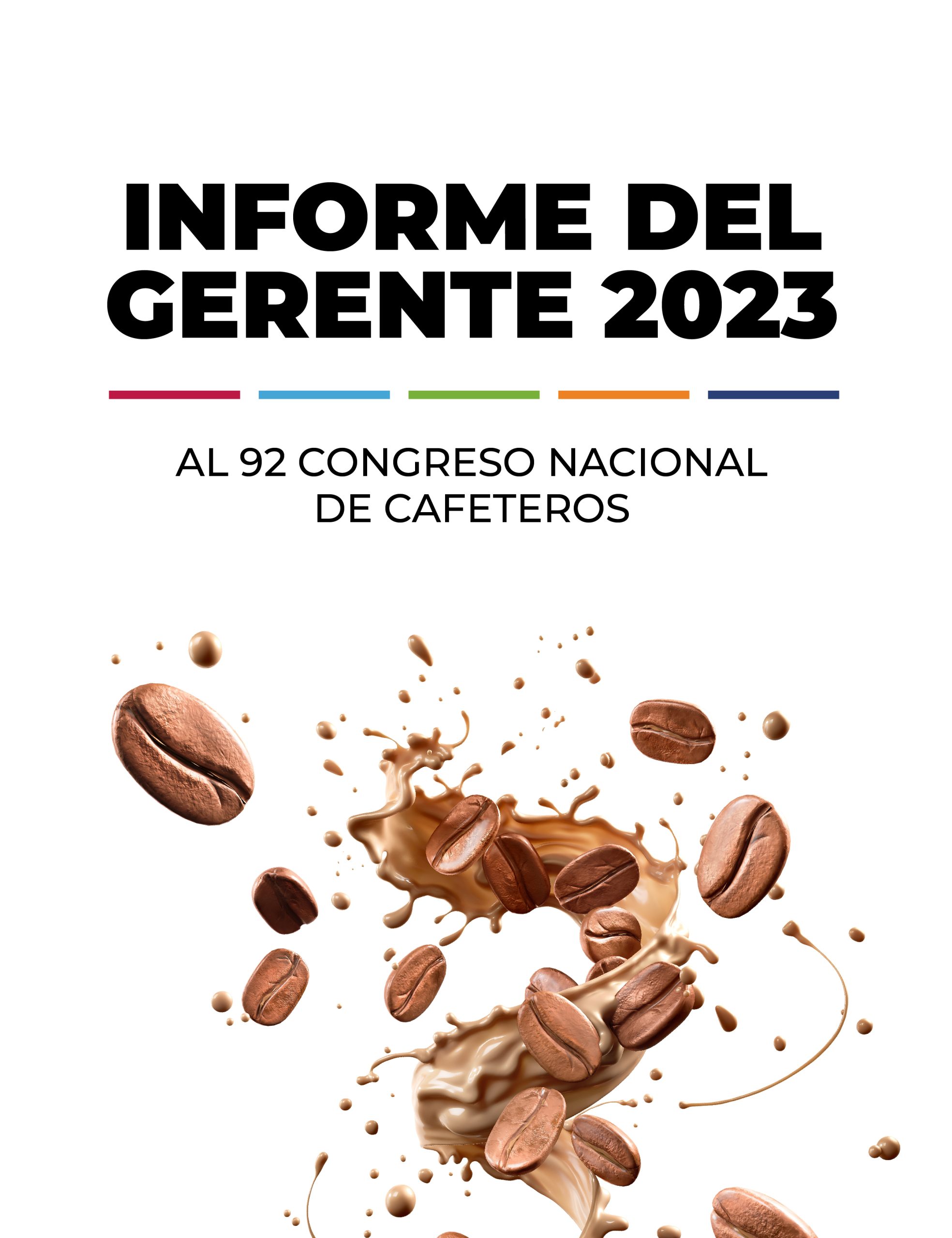 VER Informe de Gestión 2015 - 2022