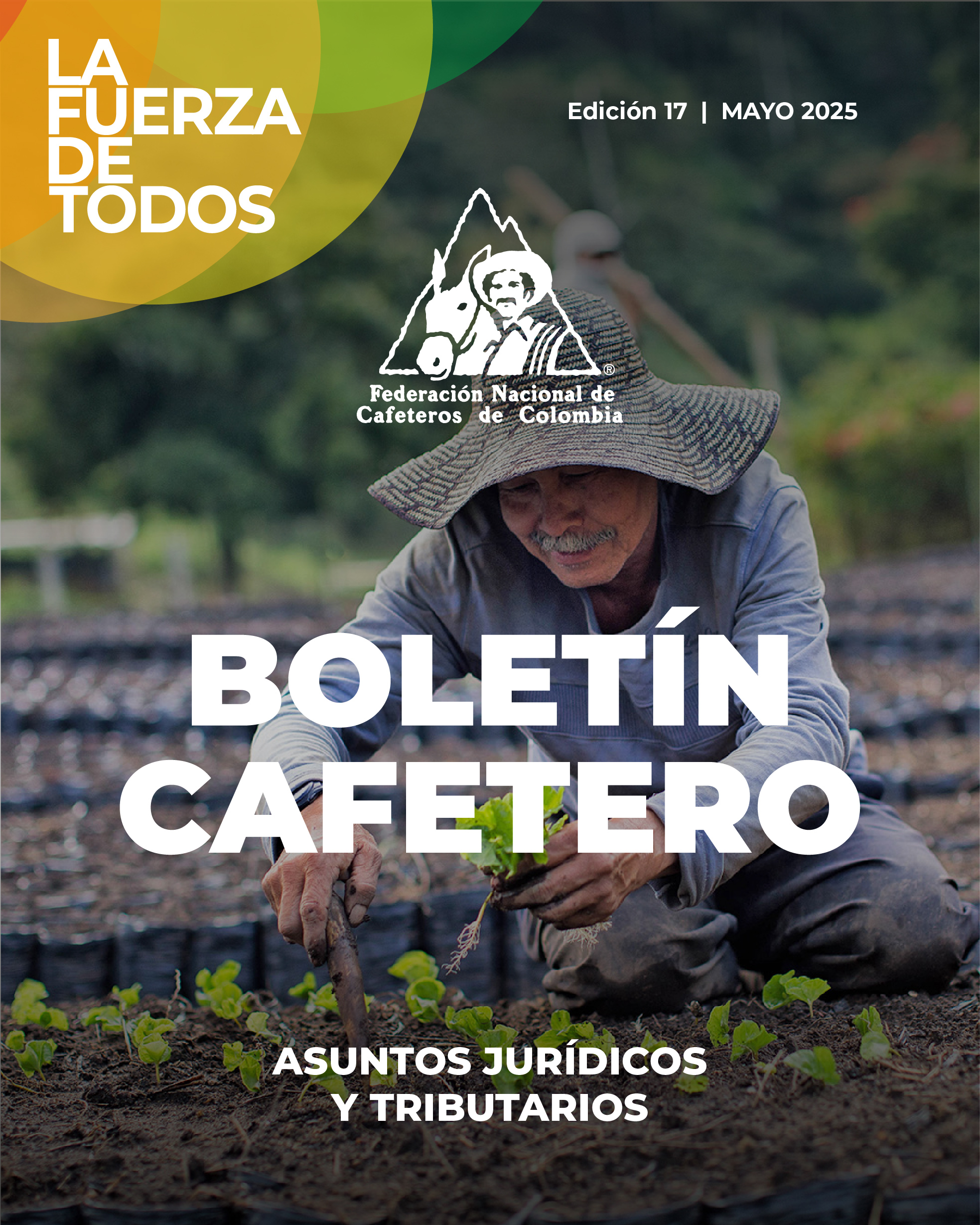 VER BOLETINES