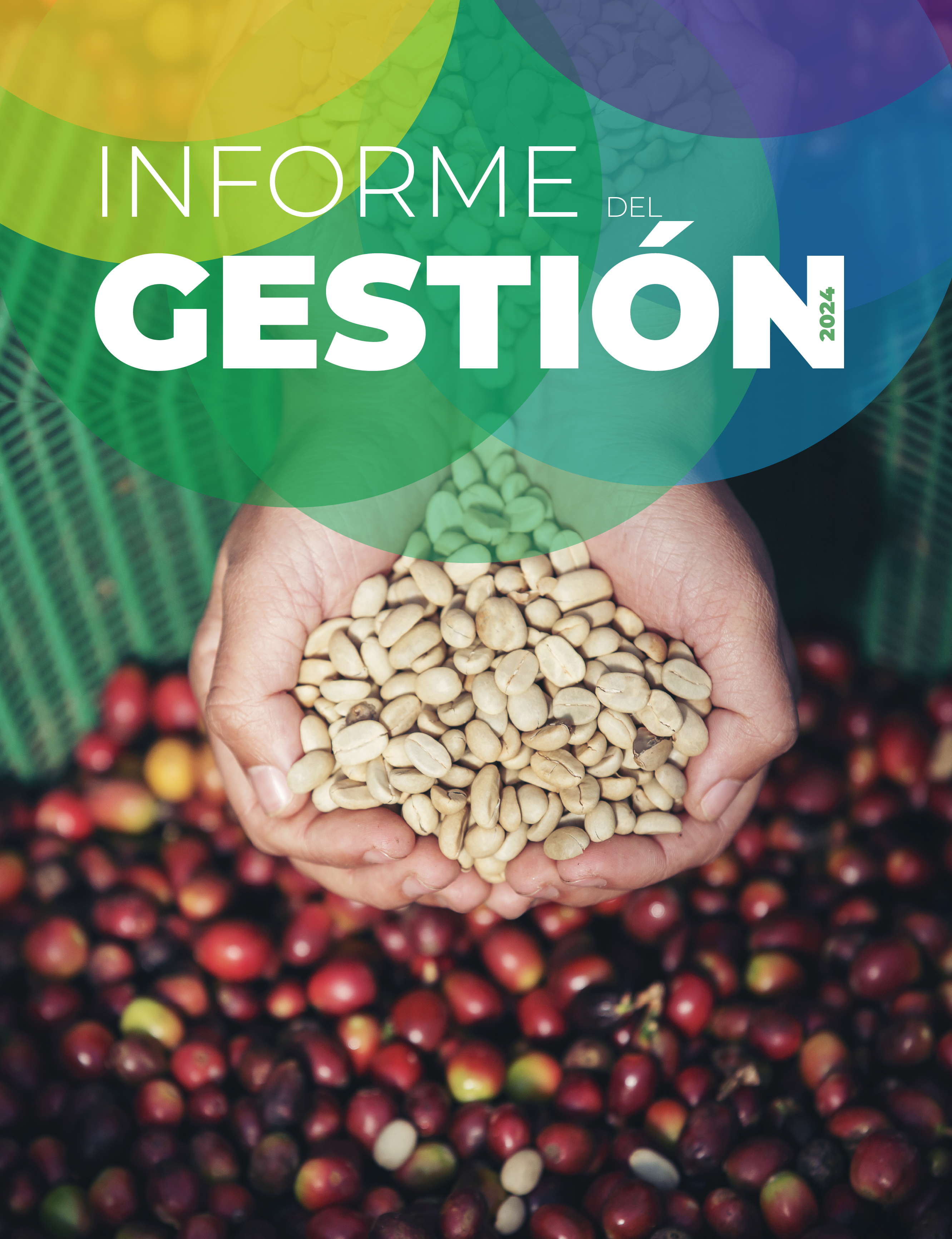 VER Informe