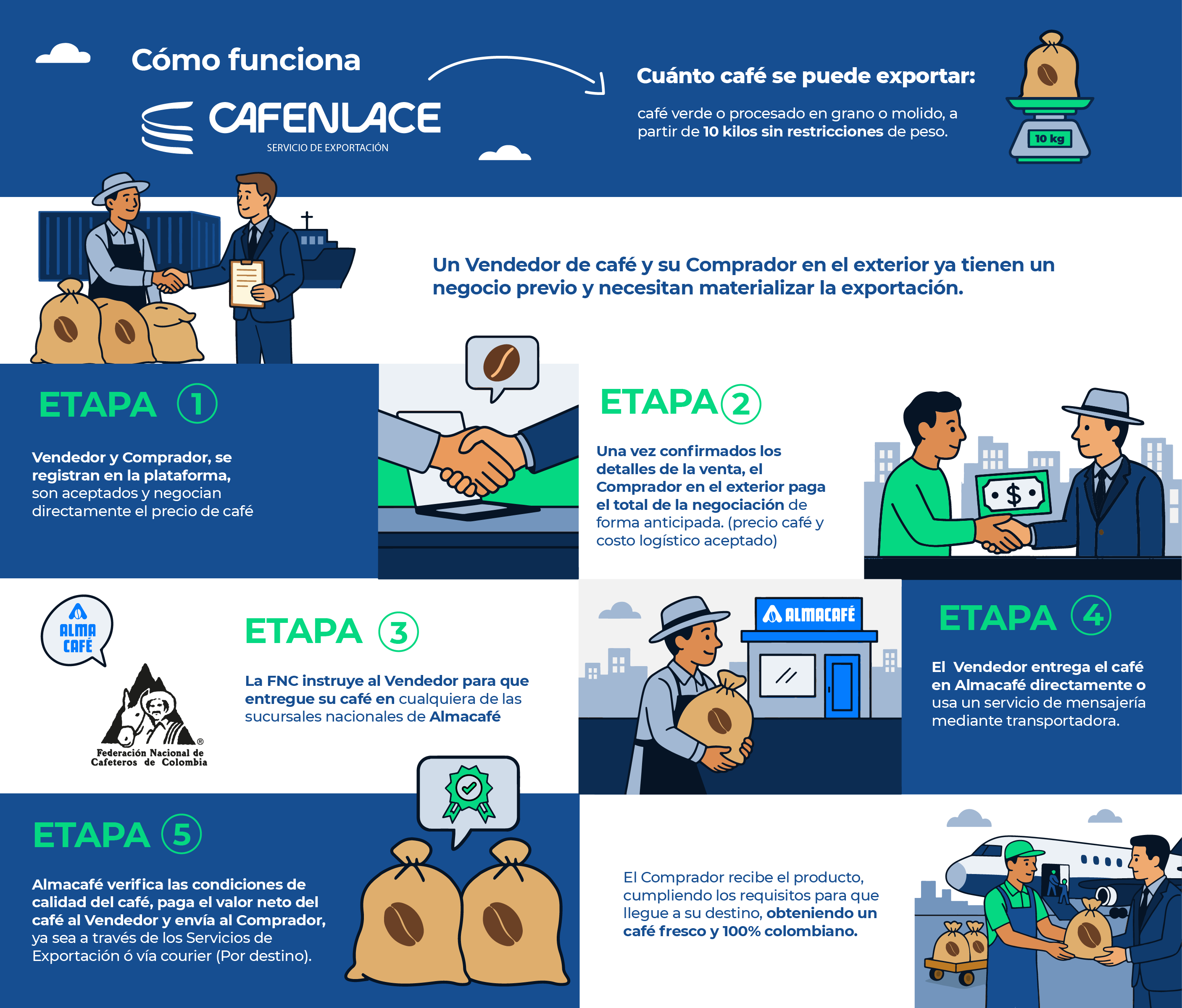 ¿Cómo funciona Cafenlace?