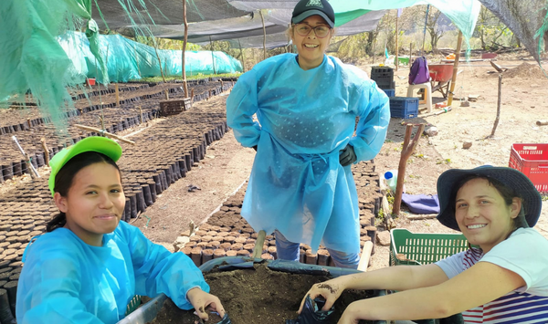 Apoyo para mejorar las condiciones operativas de vivero de plantulas de café