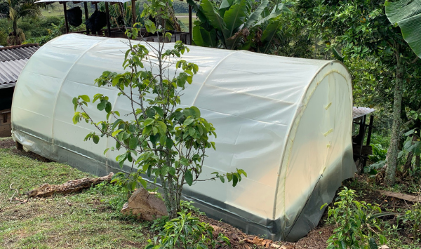 Improvement of coffee drying infrastructure for José Leobardo Montoya