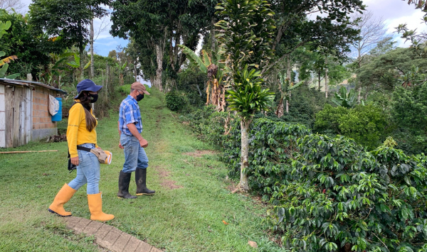 Mejoramiento infraestructura de secado de café para José Leobardo Montoya