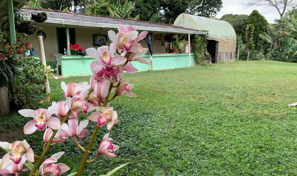 Improvement of coffee drying infrastructure for José Leobardo Montoya