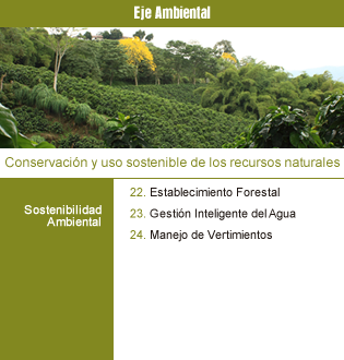 Proyectos Ambiental